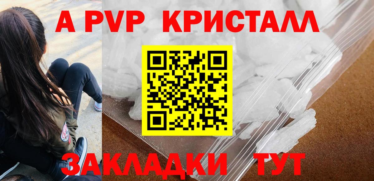 Alfa_PVP СК Губкин