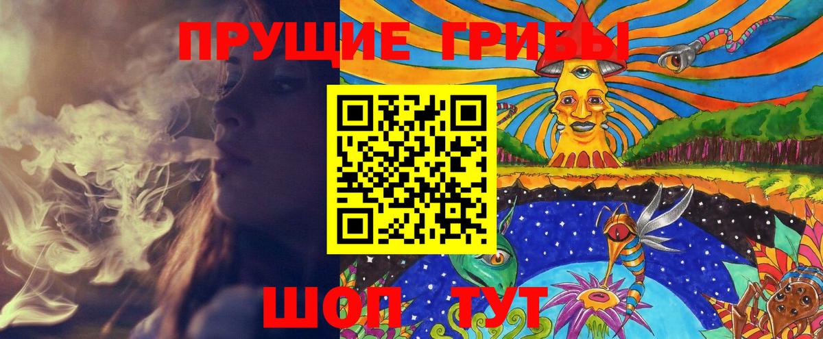 Губкин  наркотики  Вход с VPN  Галлюциногенные грибы Psilocybe 